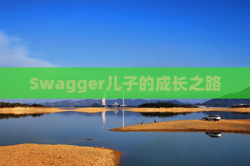 Swagger儿子的成长之路